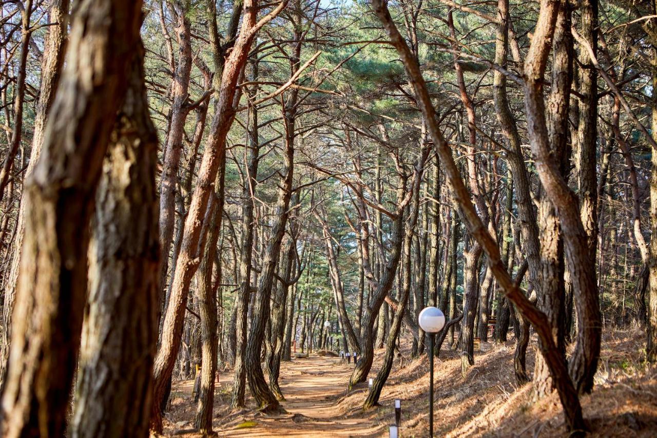 Kolon Hotel Gyeongju Bagian luar foto